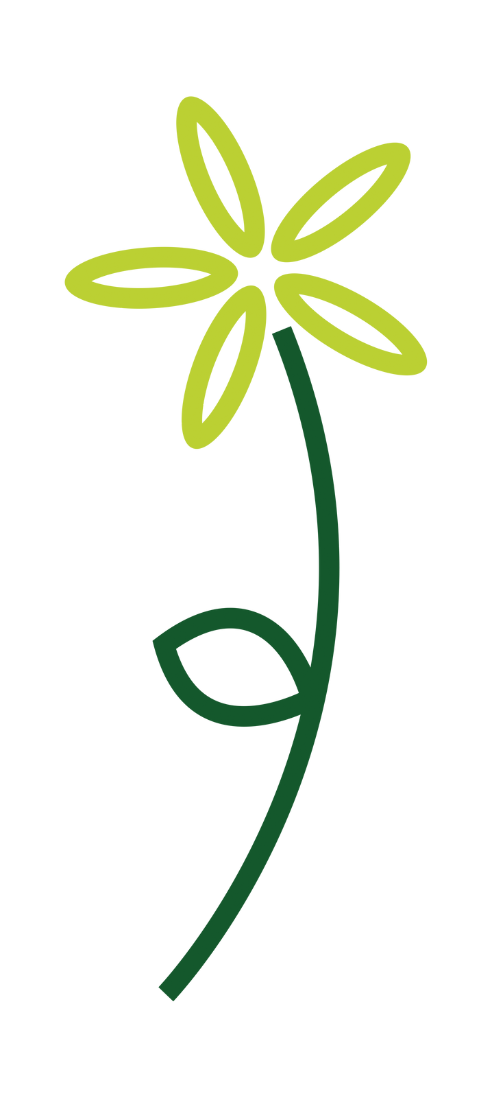 Daisy Graphic.png